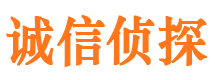 汤阴诚信私家侦探公司